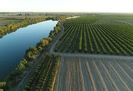 Bahçelerimizden Kareler